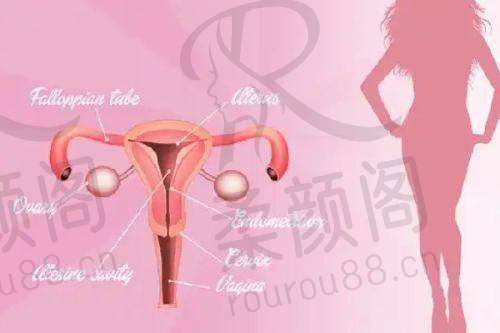 上海伯思立医疗美容门诊部2025年价格表