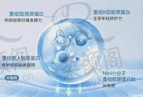 重点科室与热门项目