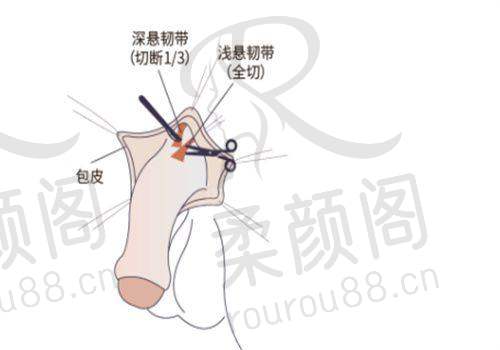潍坊华美医疗美容医院靠谱吗？多年经验、新院优环境，美鼻隆胸项目效果好