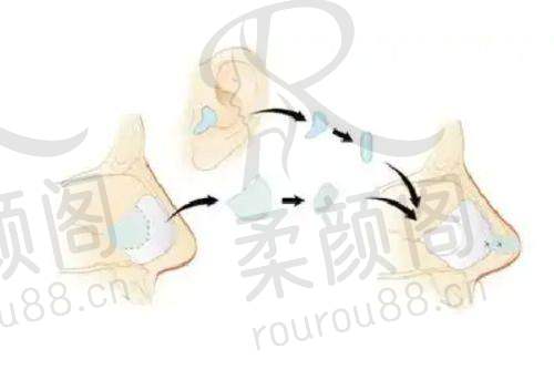 科室设置